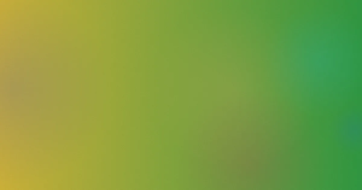 吃饱了攻略：四类方案横评